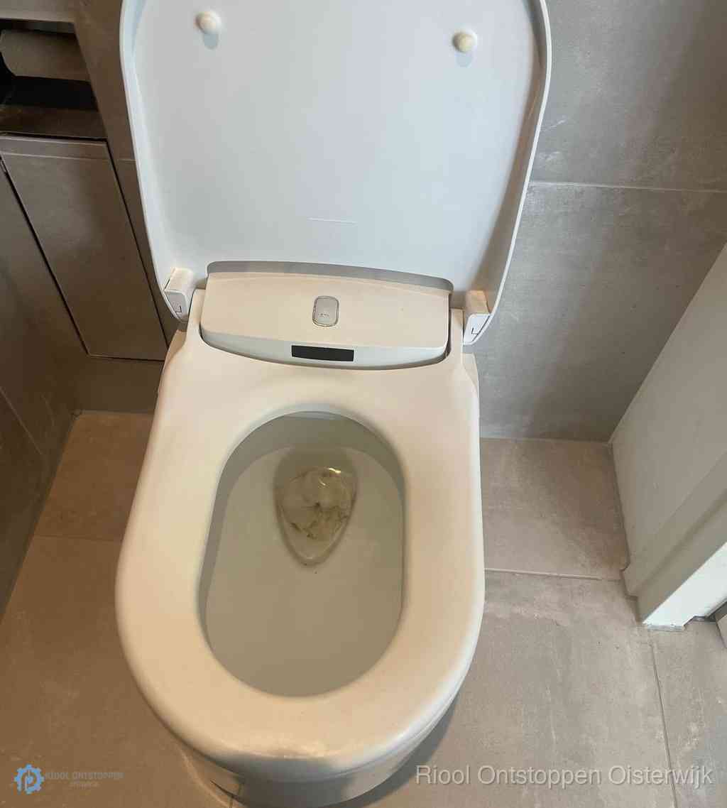 Toilet Ontstoppen Oisterwijk